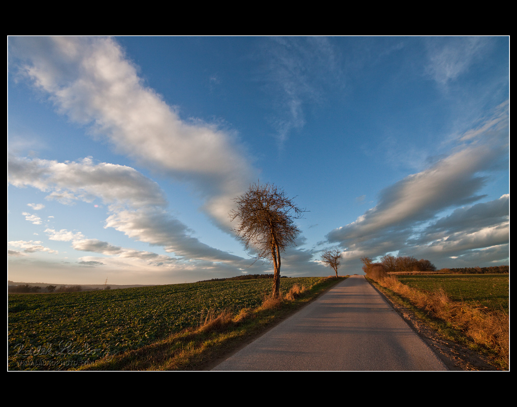 Altocumulus radiatus 