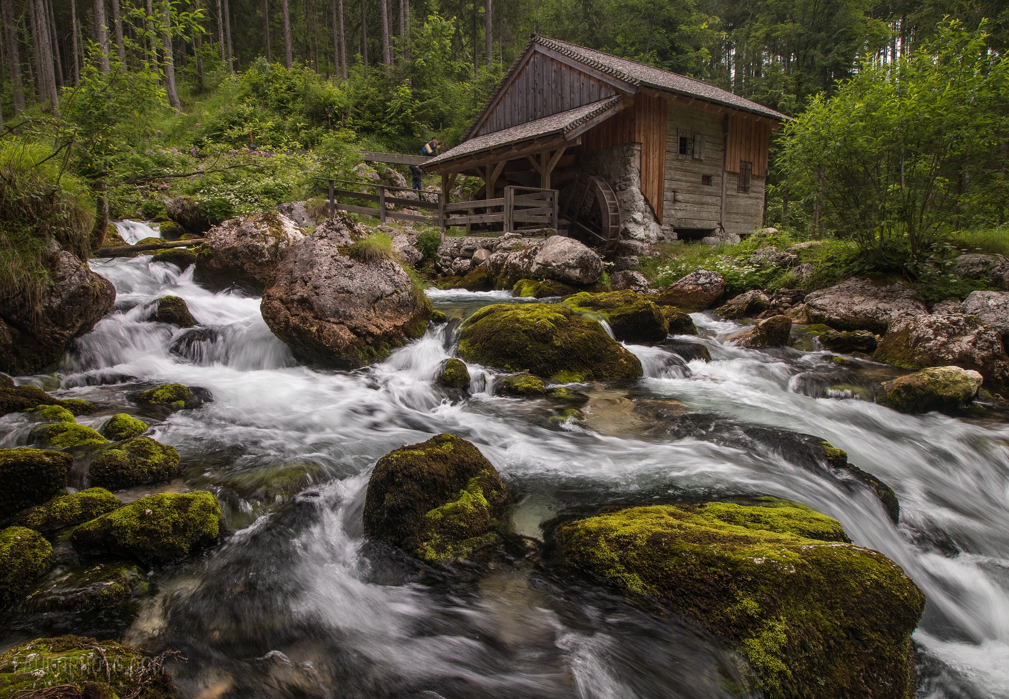 IMG_2256-HDR (1)