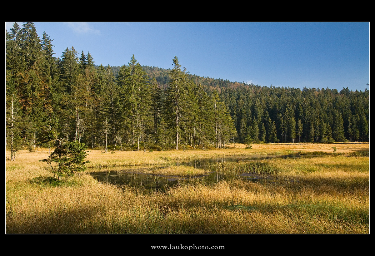 Arbersee(1)