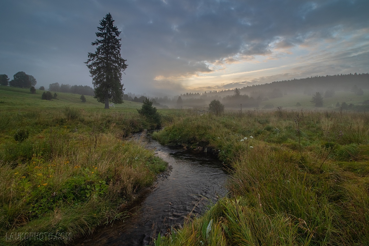 IMG_4441-HDR (2) (1)