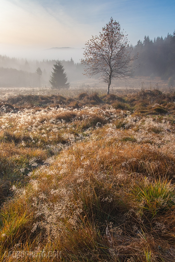 IMG_5884-HDR (1)