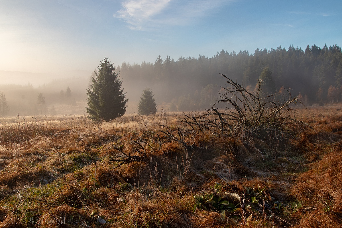 IMG_5926-HDR (1)