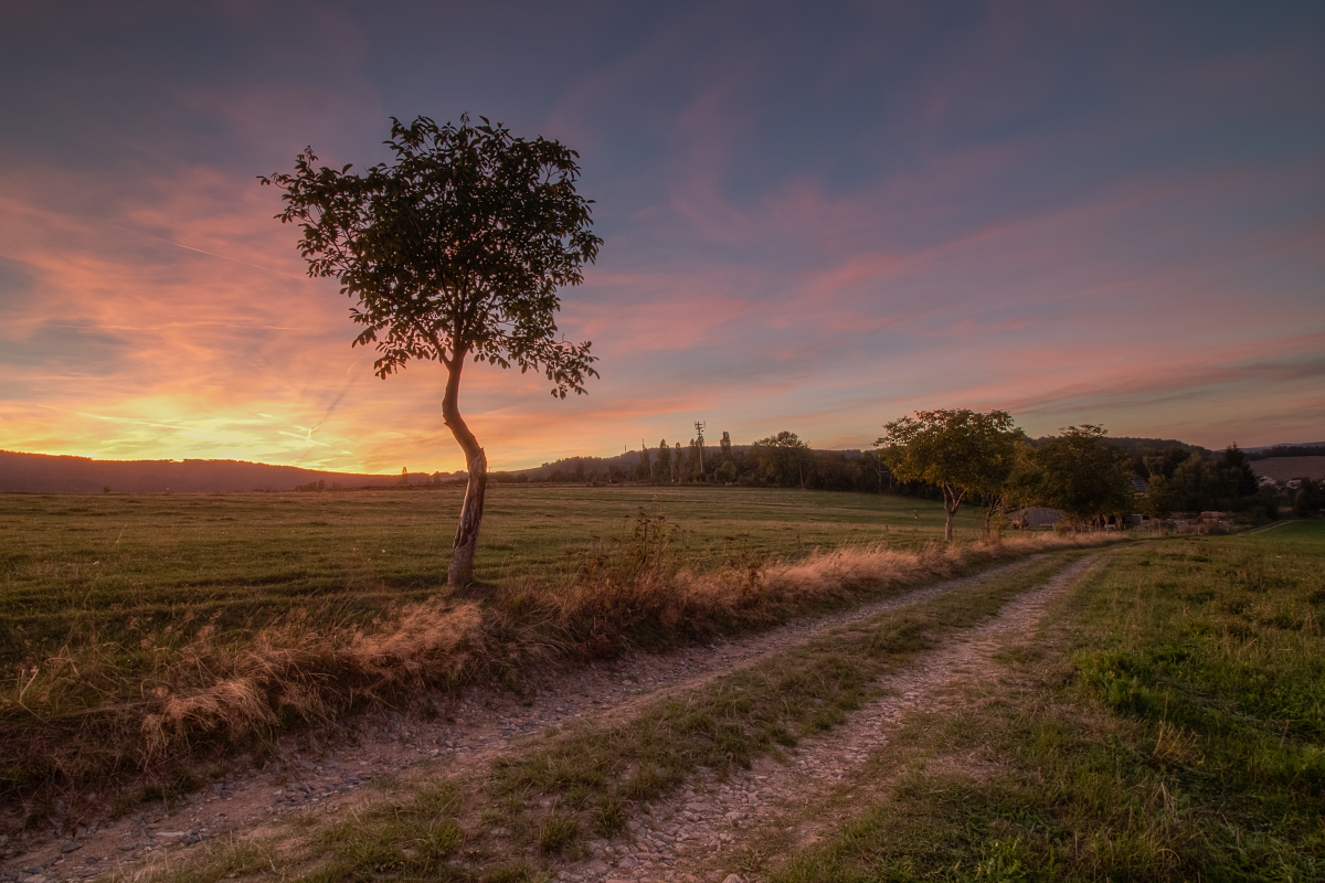 IMG_2720_1_2_3_4photomatix (1)